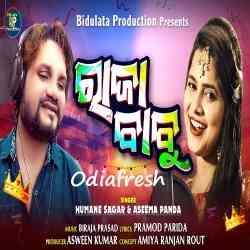 Raja Babu -Odia Song